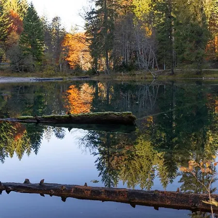 Apartmenthaus Berdnik