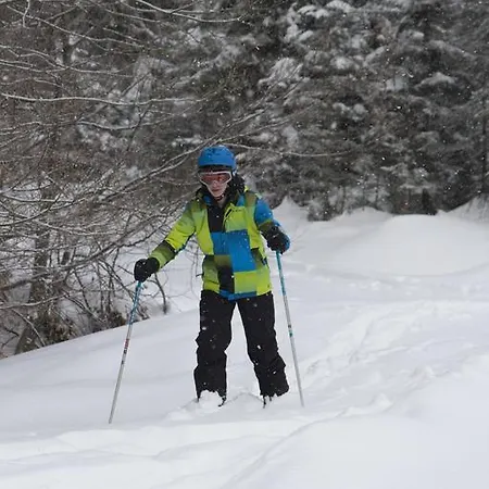 Apartmenthaus Berdnik アパート *