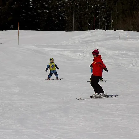 Apartmenthaus Berdnik * ケットシャッハ＝マウテン