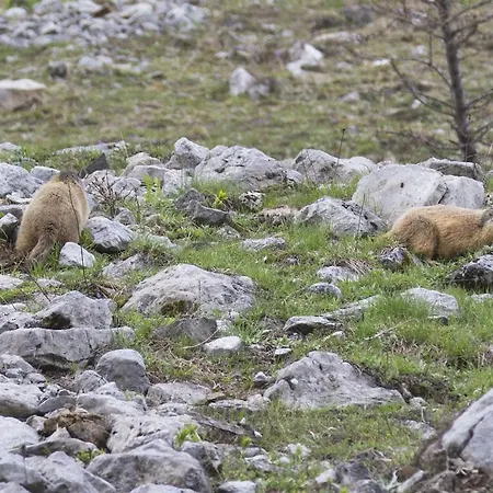 Apartmenthaus Berdnik شقة