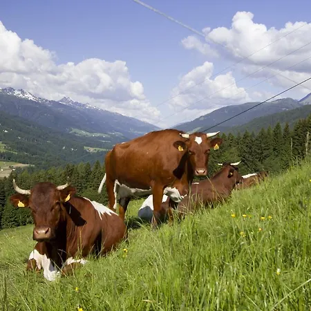 アパート Apartmenthaus Berdnik *