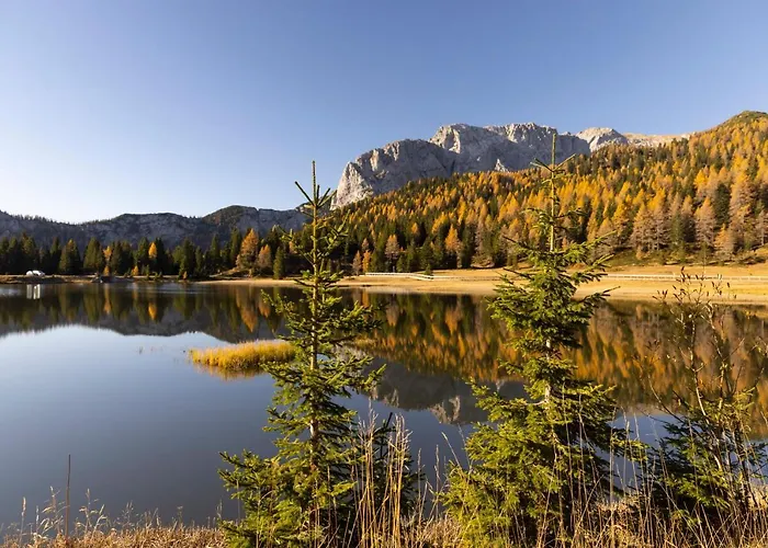 Apartmenthaus Berdnik