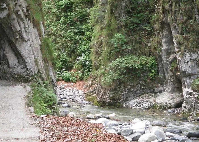 Apartmenthaus Berdnik Apartament *