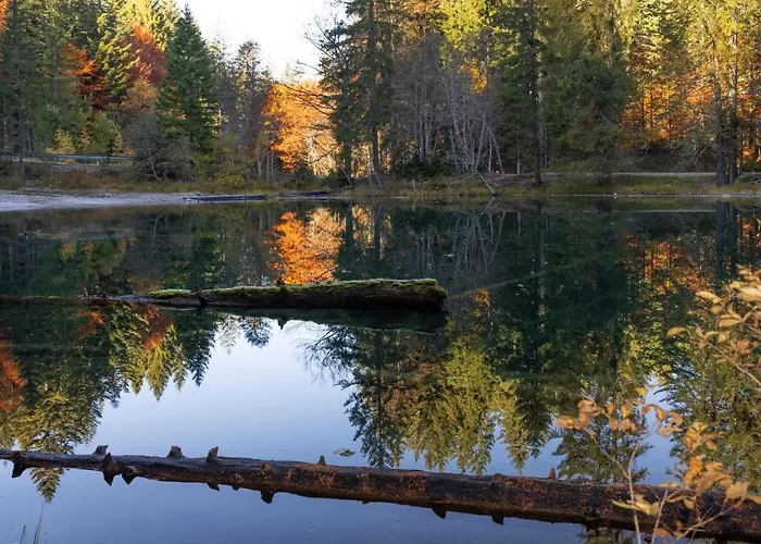 Apartmenthaus Berdnik