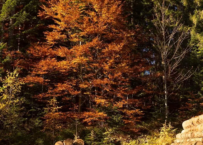 Apartmenthaus Berdnik Apartament *