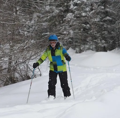 Apartmenthaus Berdnik Apartament *