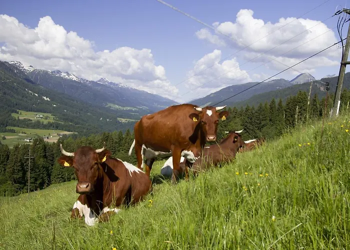 Apartament Apartmenthaus Berdnik *